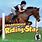 Horse Riding PC Games