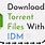 How to Download Torrent Files