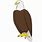 How to Draw Bald Eagle