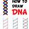 How to Draw Double Helix