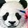 How to Draw a Real Panda