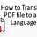 How to Translate a PDF