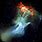 Hubble Telescope Hand of God