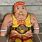 Hulk Hogan Wrestling Buddy