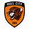 Hull City FC Logo
