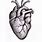 Human Heart Tattoo Drawing