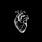 Human Heart iPhone Wallpaper