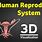 Human Reproduction Animated Images