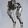 Humanoid Robot Legs