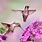 Hummingbird Pink Flowers