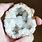 Identifying Rocks Geode