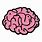 Illustration of a Brain