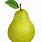 Image of Pear Fruit