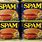 Images of Spam