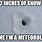 Inches of Snow Meme