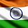 India Flag-Waving