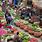 Indian Vegetable Market