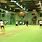 Indoor Cricket