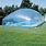 Inground Swimming Pool Dome Covers