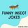 Insect Jokes