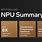 Intel NPU Architecture