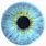 Iris Eye Transparent