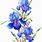 Iris Flower Watercolor Painting