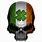 Irish Flag Skull