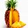 Is a Pineapple a Fruit