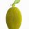 Jackfruit PNG