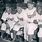Jackie Robinson Dodgers Team