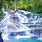 Jamaica Falls