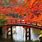 Japan Autumn Wallpaper
