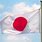 Japanese Flag-Waving