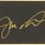 Joe Montana Signature