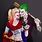 Joker and Harley Quinn Fan Art