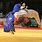 Judo Physique