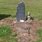 Julia Lennon Grave