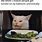 Karen Cat Memes Funny