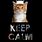 Keep Calm and Love Cats