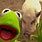 Kermit's Swamp Years Pig
