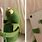 Kermit Hug Phone Meme