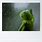 Kermit Staring Out Window Meme