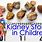 Kidney Stones in Children