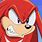 Knuckles Angry Face