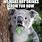 Koala Tea Meme
