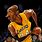 Kobe Bryant Funny Pictures