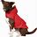 Kong Dog Raincoat