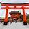 Kyoto Fushimi Inari