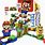LEGO Mario Video Game